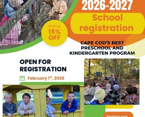 Orange and Green Minimalist School Admission Flyer